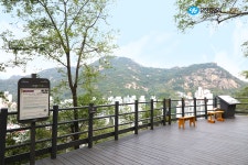 가득한 도심 속 사색의 공간, 서대문 안산 자락길>SNS>뉴스 [우리동네 숲세권] 여유로움이 가득한 도심 속 사색의 공간, 서대문 안산 자락길