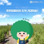 유한킴벌리>SNS>뉴스 50년에서 100년 기업으로 - 유한킴벌리 역사
