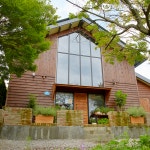 유한킴벌리>우리동네 숲세권 화성 더포레>SNS>뉴스 우리동네 숲세권 화성 더포레