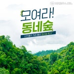 유한킴벌리>모여라 동네숲! 가장 많은 사랑을 받는 우리 지역 숲은?>SNS>뉴스 모여라 동네숲! 가장 많은 사랑을 받는 우리 지역 숲은?