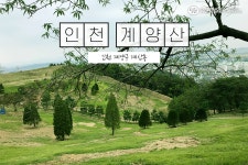 유한킴벌리>SNS>뉴스 모여라 동네숲! 가장 많은 사랑을 받는 우리 지역 숲은?