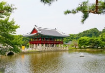 유한킴벌리>분당 중앙공원, 예스러운 정취가 느껴지는 산책하기 좋은 공원>SNS>뉴스 분당 중앙공원, 예스러운 정취가 느껴지는 산책하기 좋은 공원