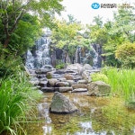 유한킴벌리>우리동네숲세권 서울 장충단공원>SNS>뉴스 우리동네숲세권 서울 장충단공원