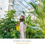 유한킴벌리>우리동네 숲세권, 카페 포레스트>SNS>뉴스 우리동네 숲세권, 카페 포레스트