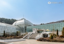 유한킴벌리>3월 21일 ‘세계 숲의 날’ 맞이, 550년의 역사를 가진 포천 광릉숲을 만나봐요!>SNS>뉴스 3월 21일 ‘세계 숲의 날’ 맞이... 