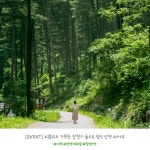 유한킴벌리>[EVENT] 우리동네 숲세권, 가평 잣향기푸른숲>SNS>뉴스 [EVENT] 우리동네 숲세권, 가평 잣향기푸른숲