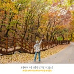 유한킴벌리>SNS>뉴스 [우리동네 숲세권] 덕고개 마을 당숲
