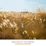 유한킴벌리>SNS>뉴스 [우리동네 숲세권] 시흥 갯골생태공원