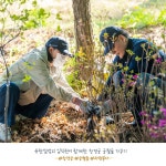 유한킴벌리>창경궁 숲 가꾸기>SNS>뉴스 창경궁 숲 가꾸기