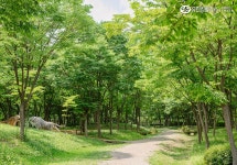 유한킴벌리>SNS>뉴스 아이와 나들이 가기 좋은 곳, 하남 나무고아원