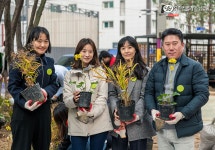 유한킴벌리>크리넥스와 함께한 늘봄 어린이 공원 도시숲 조성>SNS>뉴스 크리넥스와 함께한 늘봄 어린이 공원 도시숲 조성