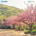 유한킴벌리>[숲과 우리의 공존] 이벤트 - 전남 순천 선암사>SNS>뉴스 [숲과 우리의 공존] 이벤트 - 전남 순천 선암사