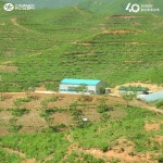 유한킴벌리>SNS>뉴스 산림의 날, 국외 숲 가꾸기 