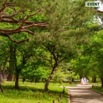 유한킴벌리>SNS>뉴스 [우푸푸 식재도감] 소나무