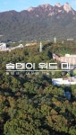 유한킴벌리>SNS>뉴스 분주한 하루 속, 잠시 쉬어갈 자연의 품이 필요하다면 서울 도봉구 쌍문근린공원을 찾아보세요. 🌿