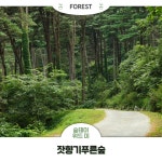 유한킴벌리>SNS>뉴스 몸과 마음에 여유를 주는 치유의 숲, 잣향기푸른숲