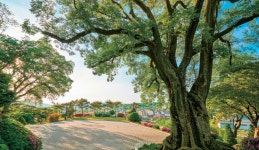 건강의 벗/홍보/유한소개/ 기사상세 | 유한양행 