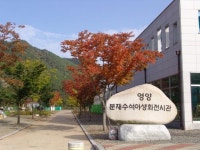 선바위에 가을이 | PHOTO | 분재야생화테마파크