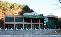 반딧불이생태학교 - 영양군