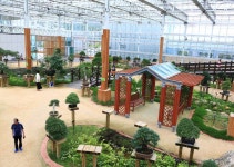 영양분재야생화전시관 내부 - 영양문화관광 포토갤러리