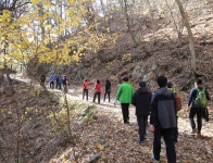 외씨버선길 - 영양문화관광 축제갤러리
