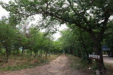 영양문화관광침벽캠핑장 주요관광명소