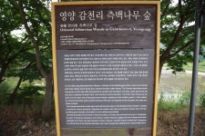 영양문화관광침벽캠핑장 주요관광명소