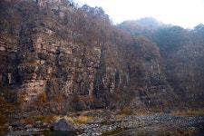 영양문화관광다들바위 치유농장