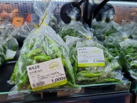 로컬푸드 직매장 추천상품(8.31.) - 영양군