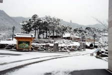 2010년 3월 10일 큰 눈이 온 날 - 영양산촌생활박물관