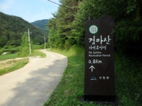 검마산자연휴양림 입구 - 영양문화관광 포토갤러리