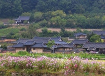 주실마을 - YEONG YANG TOUR