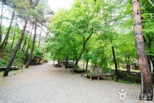 검마산자연휴양림 내부 - 영양군