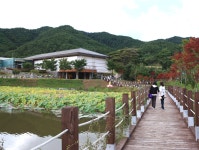 영양산촌생활박물관 호수 - 영양군