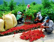 통합검색 - 영양문화관광 통합검색