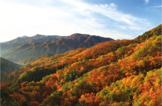 통합검색 - 영양문화관광 통합검색