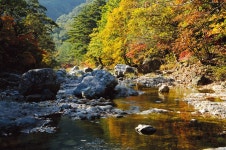 통합검색 - 영양문화관광 통합검색