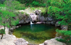 통합검색 - 영양문화관광 통합검색