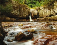 통합검색 - 영양문화관광 통합검색