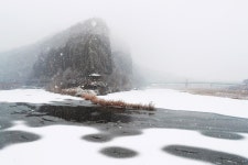 통합검색 - 영양문화관광 통합검색