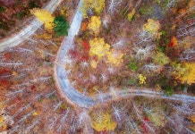 통합검색 - 영양문화관광 통합검색