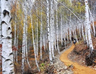 통합검색 - 영양문화관광 통합검색