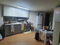 강아지무료분양 포메라니안 입양,, 강아지무료분양포털 주세요닷컴 No351168