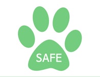 고양이무료분양 주세요닷컴 고양이무료분양 6페이지