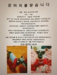 국내최대 반려동물무료분양 포털, 반려동물 분양, 애견, 고양이, 고슴도치, 햄스터, 토끼, 티컵강아지 무료분양 정보제공. 주세요닷컴