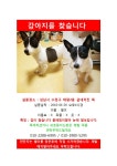 국내최대 반려동물무료분양 포털, 반려동물 분양, 애견, 고양이, 고슴도치, 햄스터, 토끼, 유기견, 티컵강아지 무료분양 정보제공. 주세요닷컴
