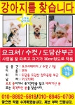 국내최대 반려동물무료분양 포털, 반려동물 분양, 애견, 고양이, 고슴도치, 햄스터, 토끼, 티컵강아지 무료분양 정보제공. 주세요닷컴