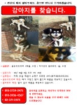 국내최대 반려동물무료분양 포털, 반려동물 분양, 애견, 고양이, 고슴도치, 햄스터, 토끼, 티컵강아지 무료분양 정보제공. 주세요닷컴