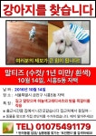 국내최대 반려동물무료분양 포털, 반려동물 분양, 애견, 고양이, 고슴도치, 햄스터, 토끼, 티컵강아지 무료분양 정보제공. 주세요닷컴
