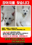 국내최대 반려동물무료분양 포털, 반려동물 분양, 애견, 고양이, 고슴도치, 햄스터, 토끼, 티컵강아지 무료분양 정보제공. 주세요닷컴